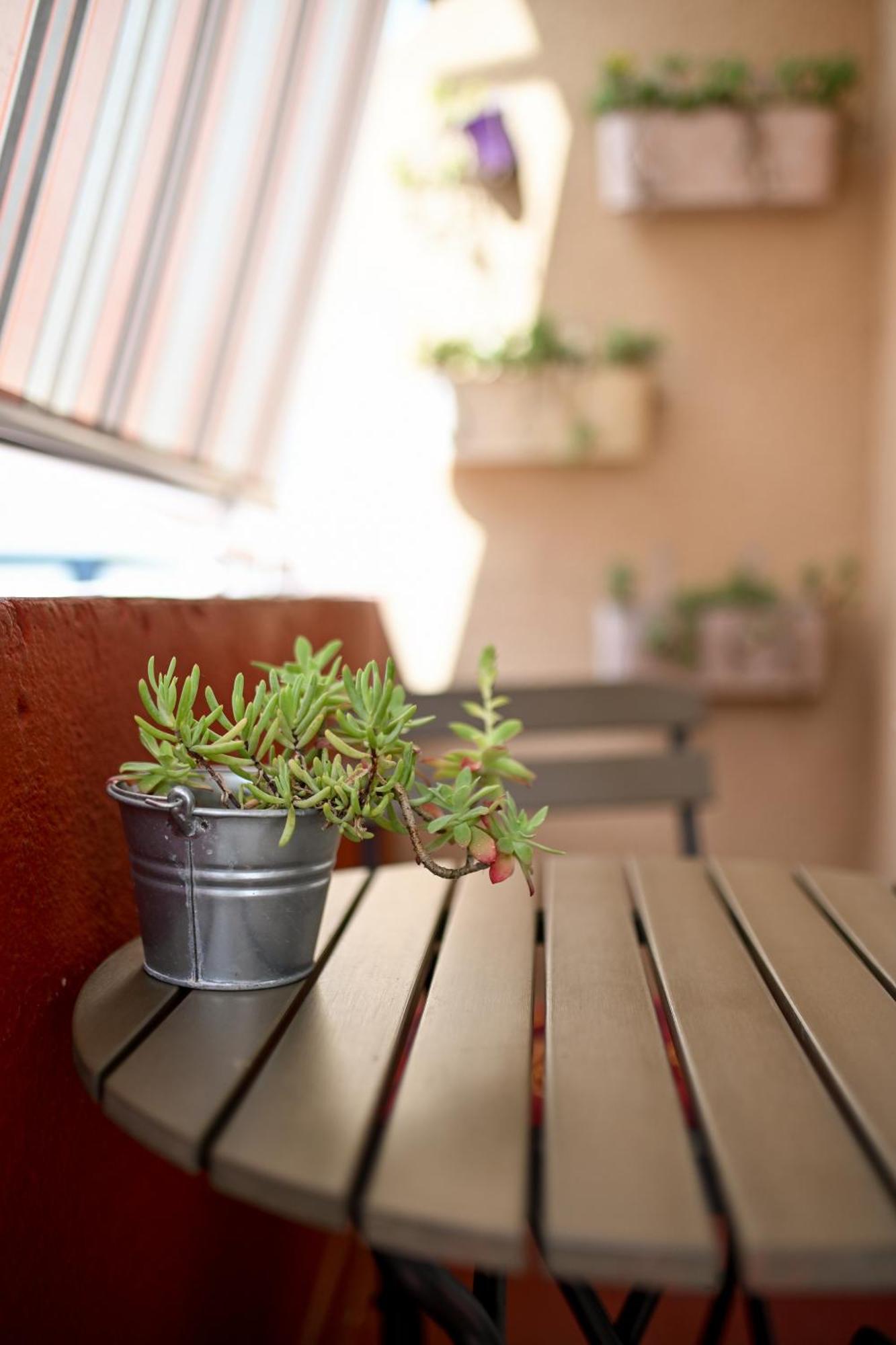 Near Zadar City Center Apartment With Free Parking And Air Condition In Each Room Eksteriør bilde